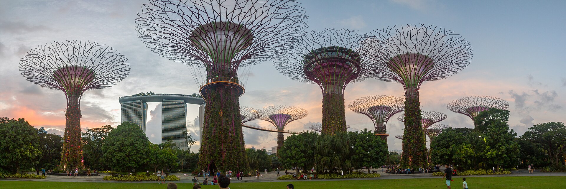 Gardens by the Bay: free outdoor gardens or a timed conservatory visit