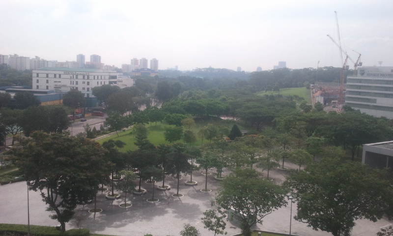Admiralty Park’s nature area: mangroves, giant mudskippers and riverine forest in Woodlands