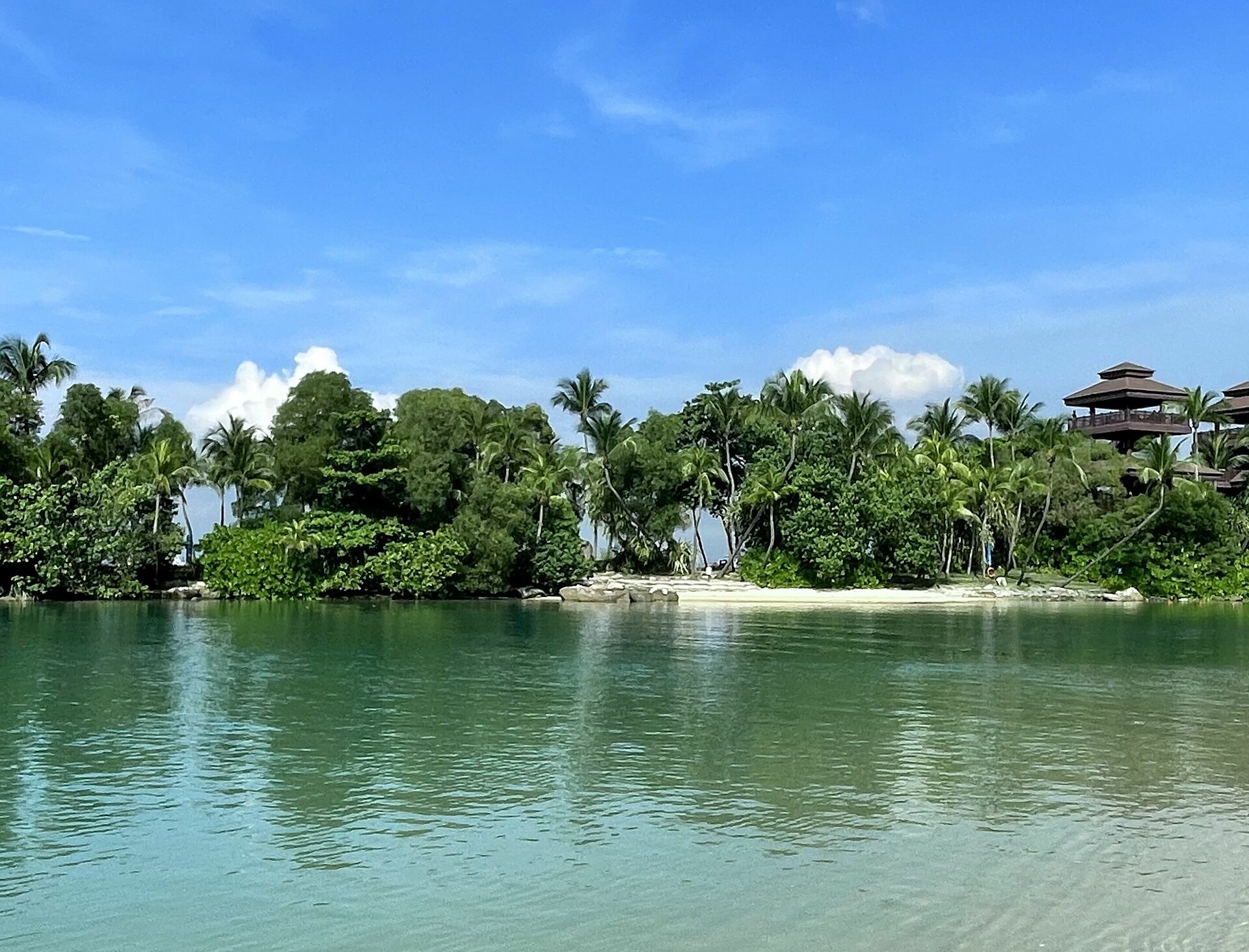 Singapore Dog Festival 2026 at Palawan Green: free weekday evenings, ticketed weekends and a Halloween parade