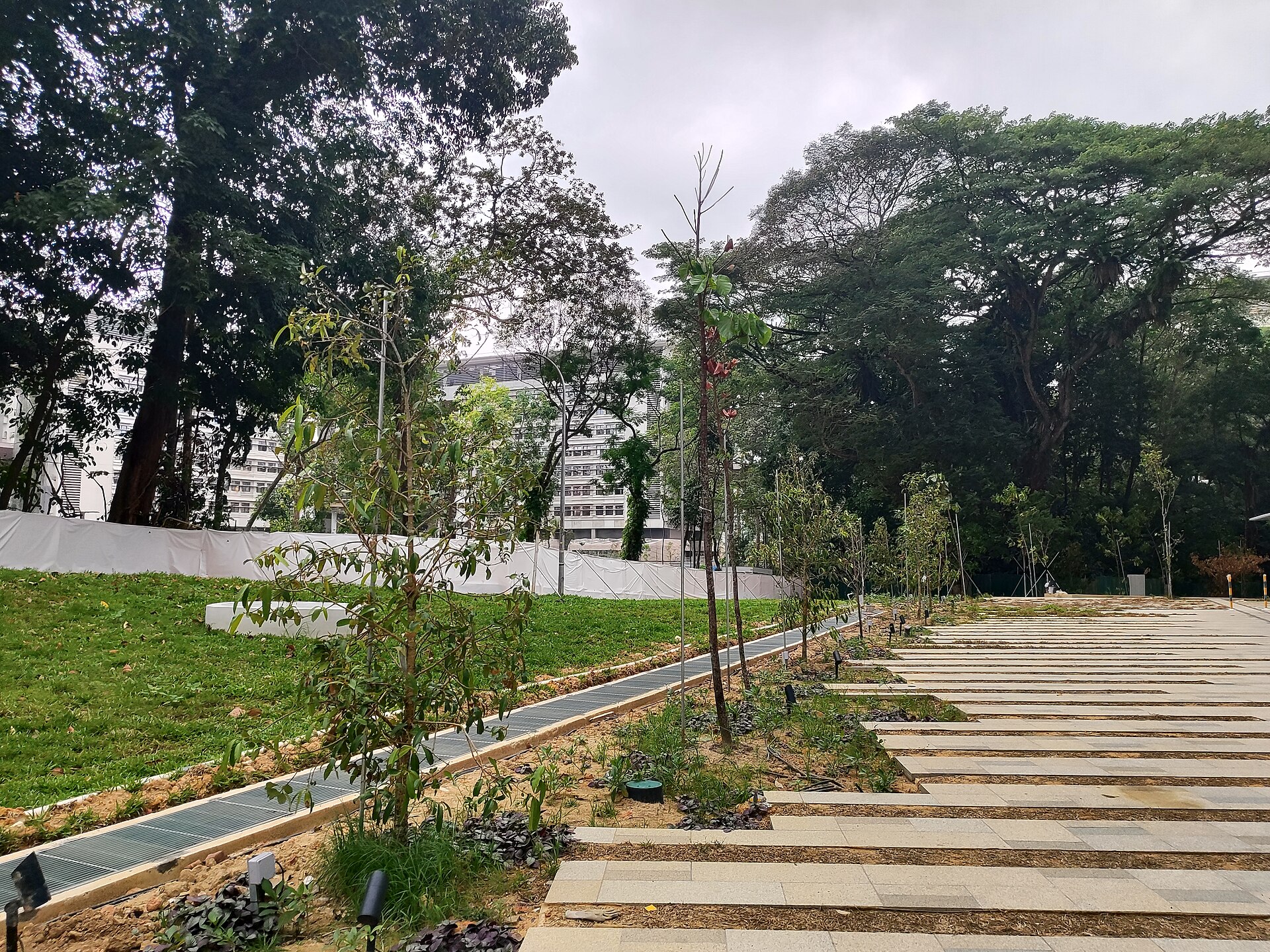 Punggol Heritage Trail: walk Old Punggol Road’s kampung past, with a retro bus stop and a Snakes & Ladders trail for kids