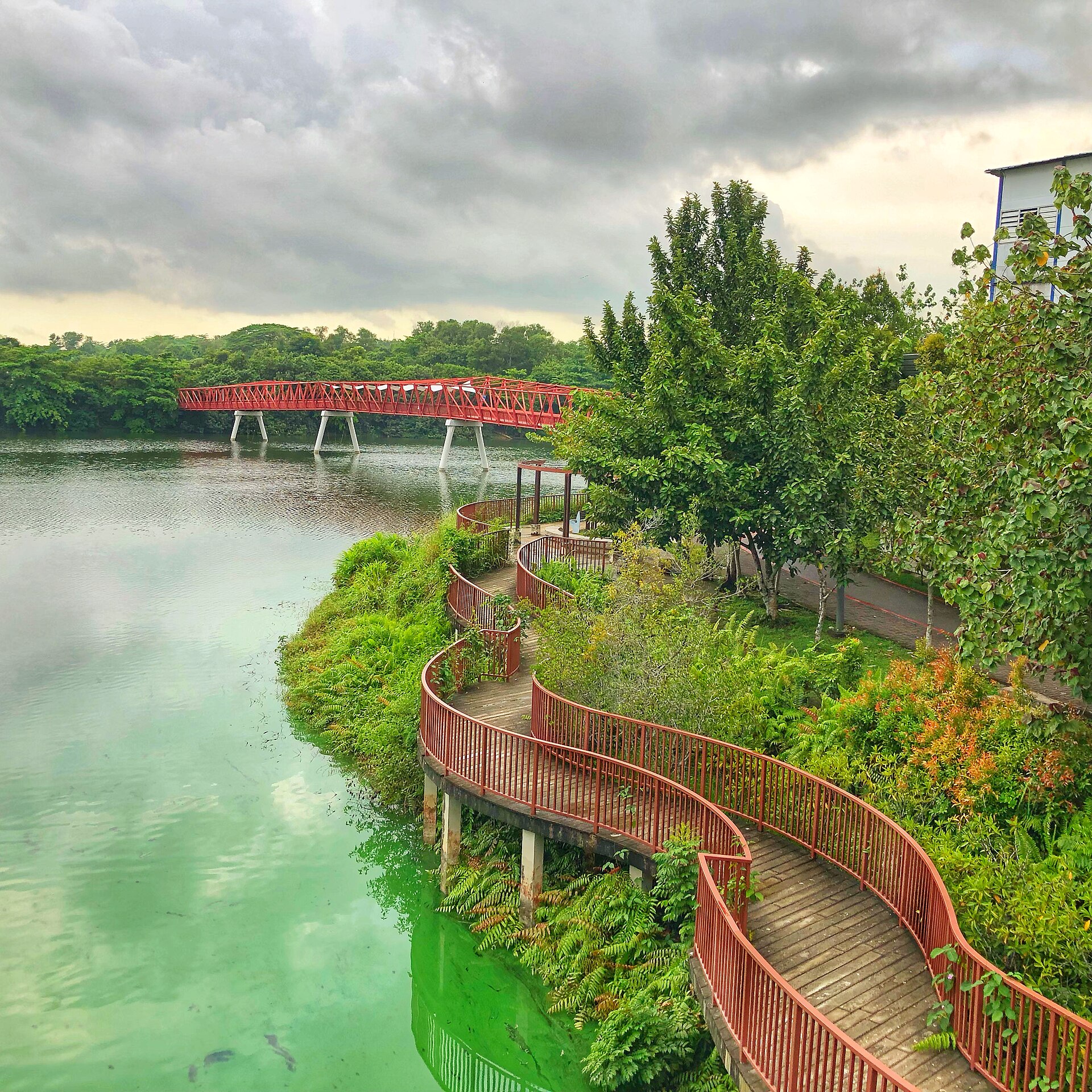 Punggol Waterway Park: run or cycle along the waterway, past bridges and an old bus stop