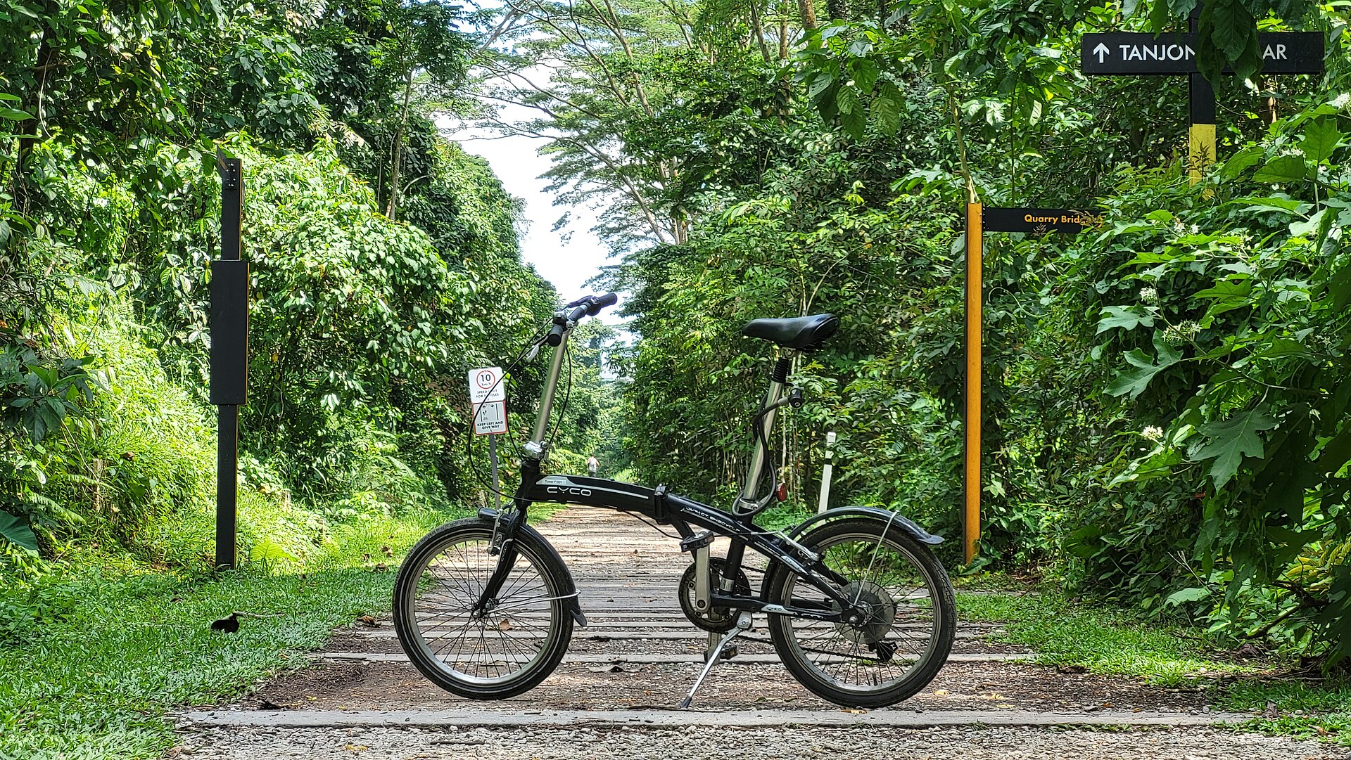 Cycling in Singapore: best routes, bike rentals, shared bikes and the rules (PCN, Round Island Route, Coast-to-Coast)