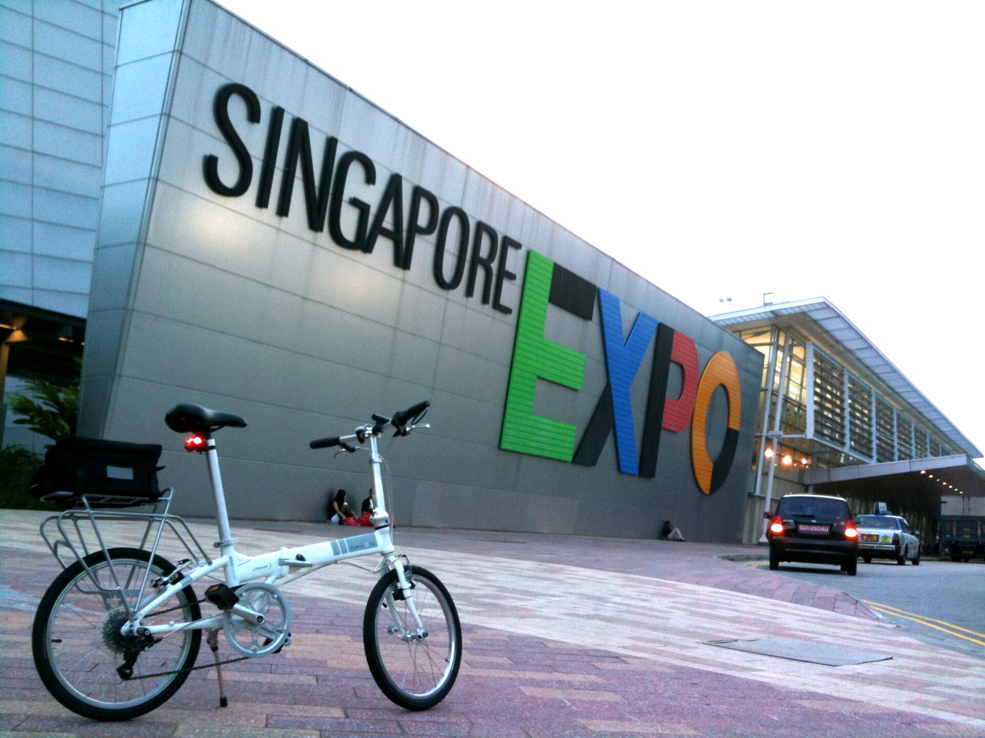 Singapore Cat Festival 2026 at Singapore EXPO: a CFA cat show, adoption drive and 100+ stalls on 7 and 8 November