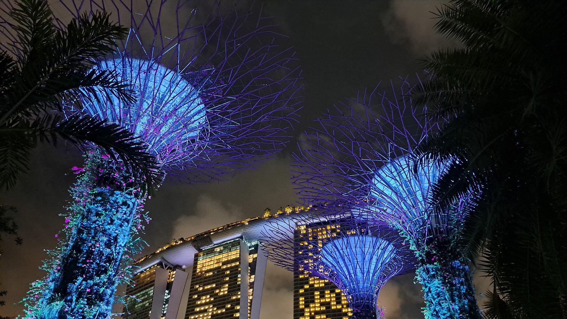 Garden Rhapsody: The Christmas Special 2026 at Supertree Grove, free light shows nightly from 29 November