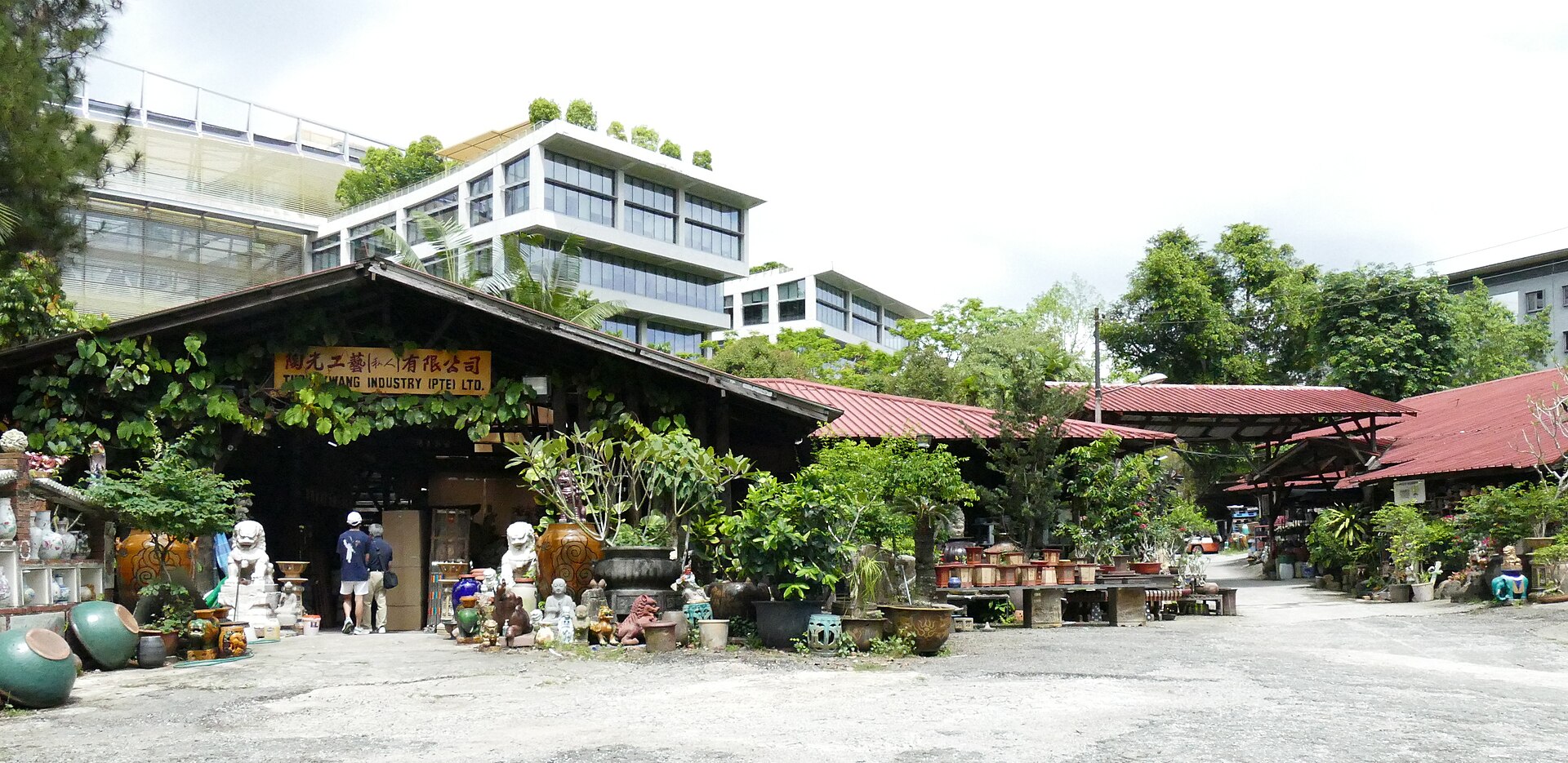 Thow Kwang Pottery Jungle: Singapore’s oldest dragon kiln and weekend pottery workshops